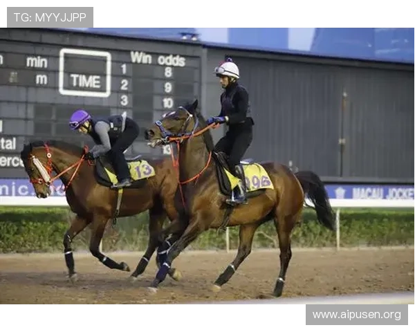 澳门赛马资讯最新动态全面解析助你掌握赛马赛事最新信息