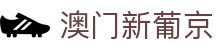 澳门新葡京品牌首页,覆盖葡京网站与网页访问入口